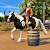 Horse Ranch（7）