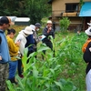 【無料公開用】自然菜園スクール（長野校）『自然菜園見学ツアー』10/19（日）秋の自然菜園見学　テーマ「循環する自給自足」