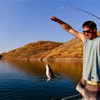 釣り糸は太いよりも細い方が釣れるのか問題。