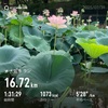 今月も500キロ突破