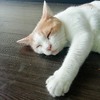 梅雨明け