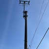 NTTドコモ基地局 CV府中若松三丁目RK