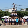 息子が通う公立中学校の運動会で組体操の人間ピラミッドをしていた件