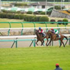 みんなのKEIBA　　　地方競馬のお楽しみとは