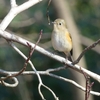小春日和の北本自然観察公園