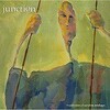 a collection of random mishaps/JUNCTION(CD)