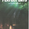 PERFECT DAYS