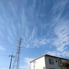 土曜日 雲とか植物とか｡