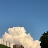 予定は予定