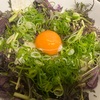 夏の忘れ物②