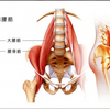 股関節のインナーマッスル、腸腰筋の話。