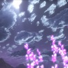 どちらの考えも素敵