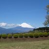 富士山はいつでも富士山。