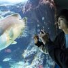 スバルＸＶのちょっと心配な所