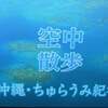 リハビリ日記～流れゆく日々