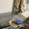 僕のペット