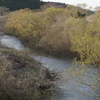 Tue.　　街中の川・旭川