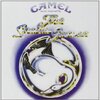 【祝：16年ぶりの来日！！】　CAMEL / キャメル