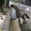 【滋賀】天智天皇のお妃、倭（しどり）神社