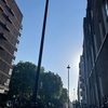 太陽の光
