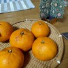 みかん🍊と柚子の香りに癒されてます。