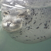 Tues.　水族館・近似系　　祝賀会