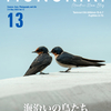 僕の野鳥撮影『海沿いの鳥たち』