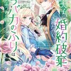 王太子に婚約破棄されたので、もうバカのふりはやめようと思いますマッグガーデン南乃映月