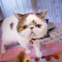 子供に教えることのまとめ