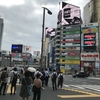 渋谷で犬のビジョンを見てきた！