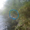 渓流釣りで熊に出会う