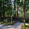 霧島東神社【後編】、天之逆鉾／錫杖院跡／神竜泉／天狗堂／祓所／旧参道口