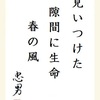 見いつけた隙間に生命春の風