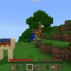 【minecraft】Switch版マイクラであそんだ