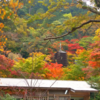  第2回　談山神社