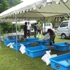 飛騨高山砂金採り選手権大会