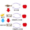 主流派経済学とMMTの基本的な考え方の違い[画像で簡単に分かりやすく解説]