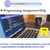 Seek Our Expert Guidance for R Programming Homework