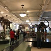 【ニューヨーク単身２人子連れ旅行】アメリカ自然史博物館で恐竜を見る