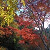 もみじの寺、小松寺、まもなく冬。（千葉県南房総地千倉町大貫）
