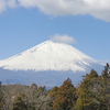 富士山がでっかい