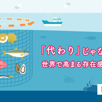 刺身の値段を考えるとスーパーでは柵を買おう But グラムいくら違うんだろ Yellow Card 刺身の値段を考えるとスーパーでは柵を買おう But グラムいくら違うんだろ Yellow Card