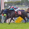 競馬初心者必見☆馬券予想🔥〜チューリップ賞〜桜花賞への直結レース！阪神JF組が強いレース〜