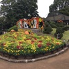 保育園秋のイベント！野毛山動物園に遠足に行ってきました。