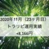 【月次報告】2020年11月の利益は8,166円でした！