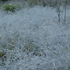 雪化粧の北アルプス