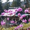 春分（３）