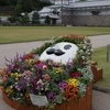 金沢城公園～秋の花でおもてなし～「ひゃくまんさん」