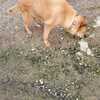 楽しいの？