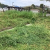 公民館の駐車場の草刈り